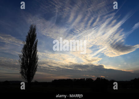 Herbst Sonnenuntergang über Bäume, Fluss Nene Valley, Castor Dorf, Peterborough, Cambridgeshire, England; Großbritannien; UK Stockfoto