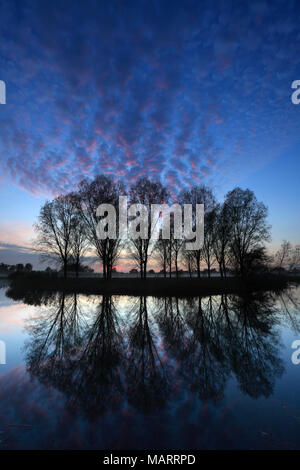 Herbst Sonnenuntergang über Bäume, Fluss Nene Valley, Castor Dorf, Peterborough, Cambridgeshire, England; Großbritannien; UK Stockfoto