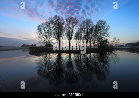 Herbst Sonnenuntergang über Bäume, Fluss Nene Valley, Castor Dorf, Peterborough, Cambridgeshire, England; Großbritannien; UK Stockfoto