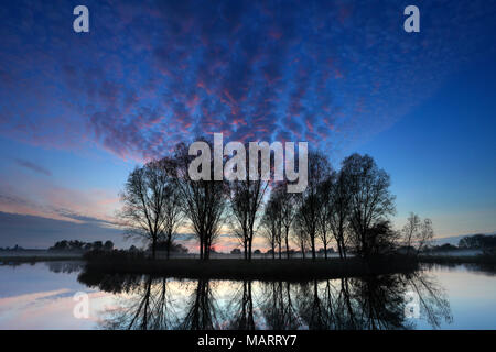 Herbst Sonnenuntergang über Bäume, Fluss Nene Valley, Castor Dorf, Peterborough, Cambridgeshire, England; Großbritannien; UK Stockfoto