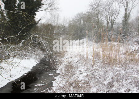 Schneebedeckten zugefrorenen Bach in einem Waldgebiet Clearing bei Naturschutzgebiet Attenborough, Nottinghamshire Stockfoto