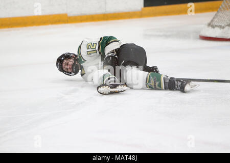 3. April 2018, St. Thomas, Ontario, Kanada. Die Londoner Staatsangehörigen fegte die Hl. Thomas Sterne in 4 gerade Spiele in der Rechnung Wehr Konferenz endgültig. Nach 2 Perioden die Angehörigen 2-1 in einem engen Spiel, aber in der dritten Periode Jack Webb führen hinzugefügt, um die Versicherung Marker und der London schaute nie zurück mit einem 4-1 Sieg. In diesem Jahr gab es auch 2 Endspiel der MVP Branden Trottier (44) und Torwart David Ovsjannikov (35) beide Spieler in der obersten Ebene gespielt. Lukas Durda/Alamy leben Nachrichten Stockfoto