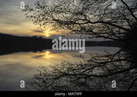 Posen, Großpolen, Polen. 3 Apr, 2018. Der Biologe Augen: am Abend des Frühlings. Im Bild: Die Kätzchen der alder - Alnus glutinosa. Credit: Dawid Tatarkiewicz/ZUMA Draht/Alamy leben Nachrichten Stockfoto