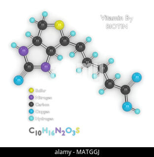 3D-Render der molekularen Modell mit molekülformel von Vitamin B7 auf weißem Hintergrund Stockfoto