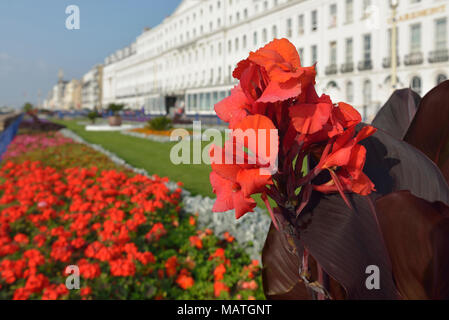 Carpet gardens Eastbourne, East Sussex, England, Großbritannien Stockfoto