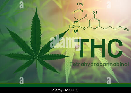 Bild Cannabis des Formel thc Stockfoto