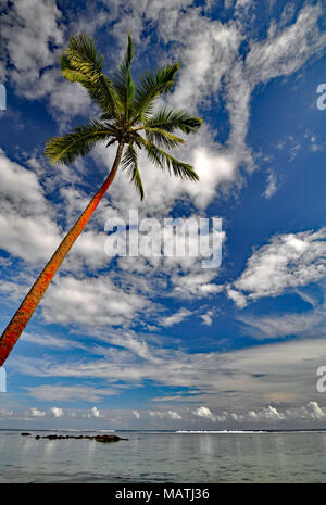 Den ruhigen Stränden der South Pacific Ocean sind wirklich das Paradies gefunden. Dies ist die Coral Coast auf der Insel Viti Levu (Fidschi) in der Nähe von Sigatoka Stockfoto