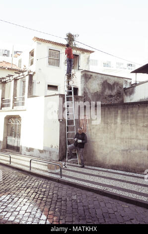 Funchal, Portugal - Dezember 9, 2017. Ein Elektriker auf der Arbeit gesehen, während ein Kollege die Leiter ist. Stockfoto