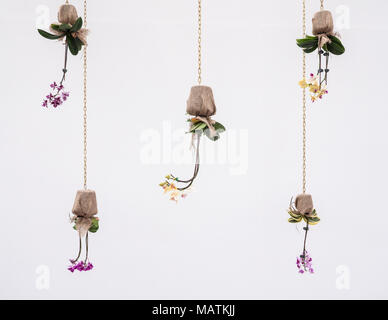 Inverse sack Topf mit der Schönheit Orchidee für im Wohnzimmer eingerichtet. Stockfoto