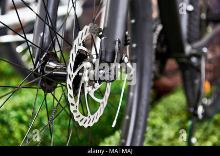 Bremsscheiben vorne sport Mountainbike Stockfoto