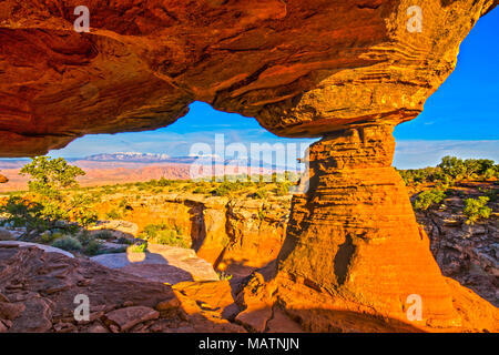 Arch framing La Sal Mountains, Behin-Felsen, in der Nähe von Moab, Utah Stockfoto