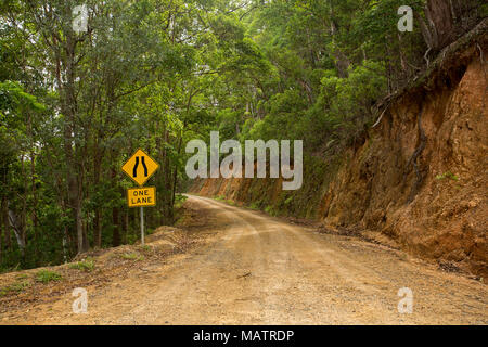 Schmale, unbefestigte Straße schlängelt sich durch bewaldete Landschaft des Conondale Ranges National Park in Queensland, Australien Stockfoto