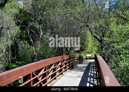 Trailfoot Brücke über Alameda Creek, Sunol Regional Wilderness, Kalifornien, Stockfoto