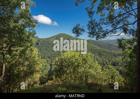 Blick auf die Landschaft von bewaldeten Hügeln von Conondale Ranges National Park unter blauem Himmel in Queensland, Australien Stockfoto