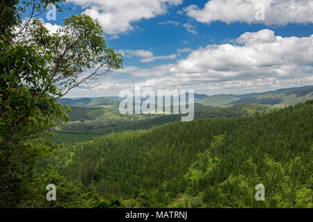 Blick auf die Landschaft von bewaldeten Hügeln von Conondale Ranges National Park unter blauem Himmel in Queensland, Australien Stockfoto