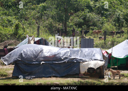 Myanmars ethnischen Rohingya Muslime bauen behelfsmäßiges Zelt auf Bangladesch Seite der Grenze in Tumbro, Bangladesch. Stockfoto