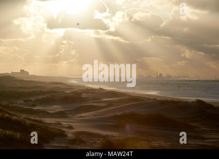 Uitzicht op Duinen, zee en bij Rotterdam Maasvlakte vanuit De Duinen in Den Haag - Blick auf die Dünen, das Meer und das Industriegebiet Maasvlakte in der Nähe von Rott Stockfoto