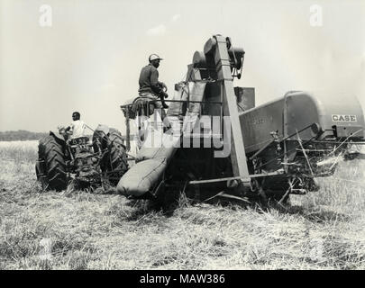 Männer an der Pflanzen mit einem Harvester, Rhodesian Auswahl Vertrauen, Kafue Pilot Polder, Sambia, Süd Rhodesien 1957 Stockfoto