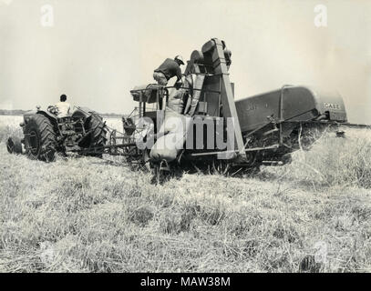 Männer an der Pflanzen mit einem Harvester, Rhodesian Auswahl Vertrauen, Kafue Pilot Polder, Sambia, Süd Rhodesien 1957 Stockfoto