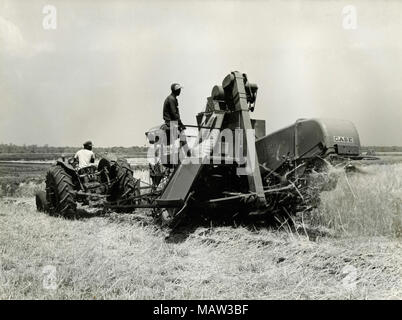 Männer an der Pflanzen mit einem Harvester, Rhodesian Auswahl Vertrauen, Kafue Pilot Polder, Sambia, Süd Rhodesien 1957 Stockfoto