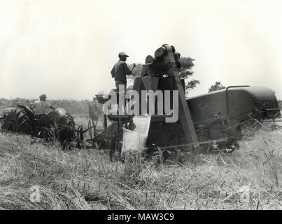 Männer an der Pflanzen mit einem Harvester, Rhodesian Auswahl Vertrauen, Kafue Pilot Polder, Sambia, Süd Rhodesien 1957 Stockfoto