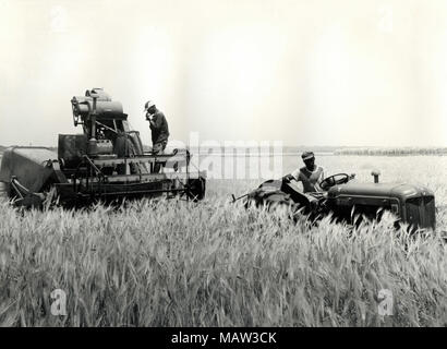 Männer an der Pflanzen mit einem Harvester, Rhodesian Auswahl Vertrauen, Kafue Pilot Polder, Sambia, Süd Rhodesien 1957 Stockfoto