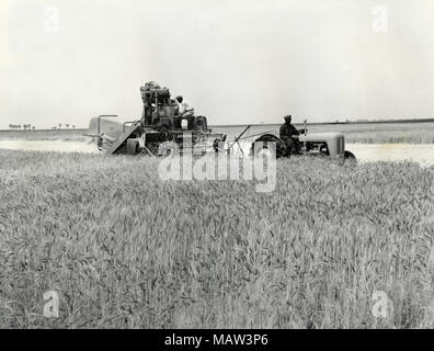 Bei Mähdrescher bei der ersten Ernte auf Wohnungen, Rhodesian Auswahl Vertrauen, Kafue Pilot Polder, Sambia, Süd Rhodesien 1957 Stockfoto