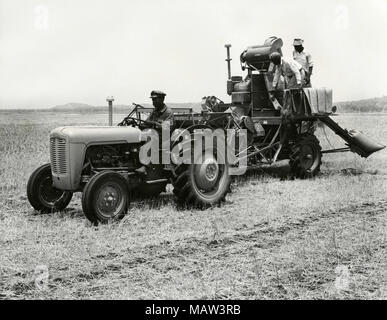 Bei Mähdrescher bei der ersten Ernte auf Wohnungen, Rhodesian Auswahl Vertrauen, Kafue Pilot Polder, Sambia, Süd Rhodesien 1957 Stockfoto