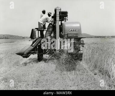 Bei Mähdrescher bei der ersten Ernte auf Wohnungen, Rhodesian Auswahl Vertrauen, Kafue Pilot Polder, Sambia, Süd Rhodesien 1957 Stockfoto