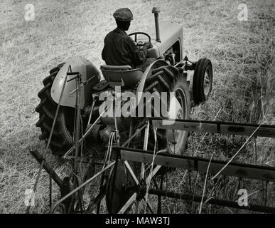 Bei Mähdrescher bei der ersten Ernte auf Wohnungen, Rhodesian Auswahl Vertrauen, Kafue Pilot Polder, Sambia, Süd Rhodesien 1957 Stockfoto