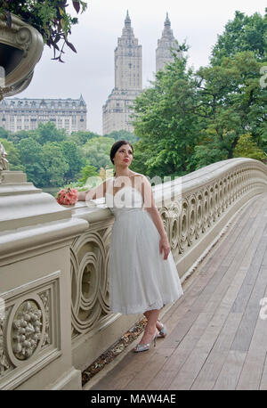 Eine Braut auf dem Bogen der Brücke im Central Park, New York Stockfoto