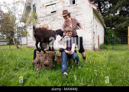 Eine Frau und ihre Kinder ihrem Haustier Ziegen füttern. Stockfoto