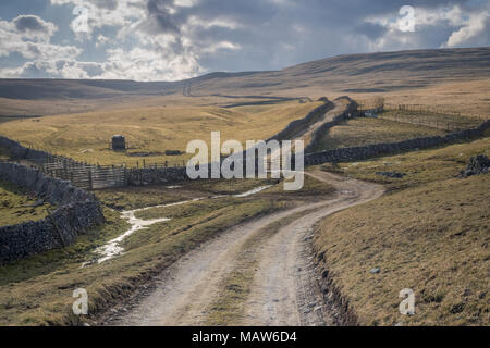 Wandern entlang Mastiles Lane zwischen Malham Tarn und Kilnsey in Bösingen North Yorkshire Stockfoto