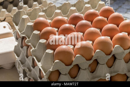 Mit Kartons und frisch, braune Eier Stapel Stockfoto