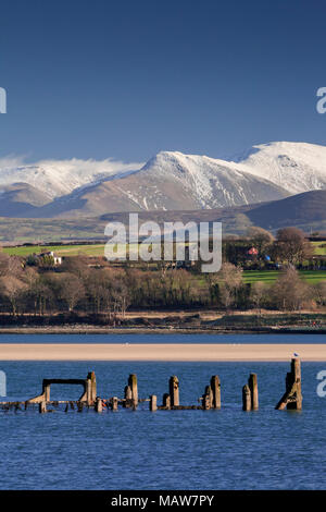 Buhnen in der Menai Straits im Winter, Anglesey, Nordwales mit Schnee bedeckte mountaqins im Hintergrund Stockfoto