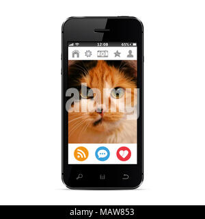 Foto Katze auf den Bildschirm des Smartphones die in ein soziales Netzwerk Stockfoto