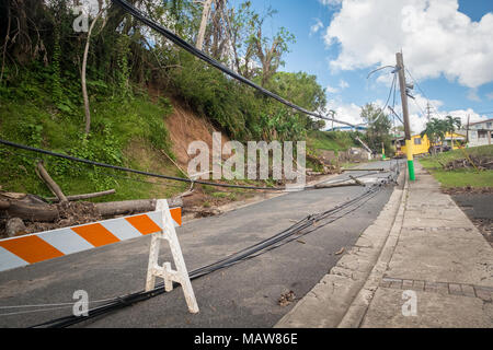 Las Marias, Puerto Rico. 24. Oktober, 2017. Schäden an der Infrastruktur für die Stromversorgung von Puerto Rico, einen Monat nach dem Hurrikan Maria verwüsteten die Insel. Credit: Sara Armas/Alamy Reportage. Stockfoto