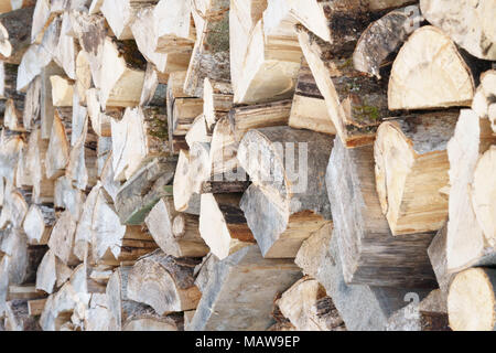 Ein Haufen von Protokollen, split Wälder, im Winter. Stockfoto