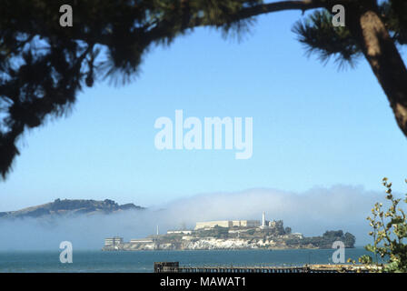 Eine Nebelbank Ansätze zur Insel Alcatraz in der Bucht von San Francisco, USA Stockfoto