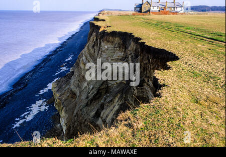 Küstenerosion, Haus Fallen der Klippe, Weybourne, Norfolk, England, UK, GB. Stockfoto