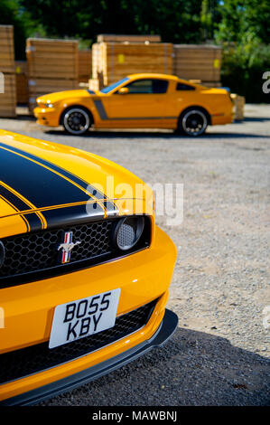 2013 Ford Mustang Boss 302 American Sports Muscle Car Stockfoto