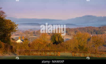 East Devon Gebiet von außergewöhnlicher natürlicher Schönheit in der Nähe von gittisham beim ersten Tageslicht. Stockfoto