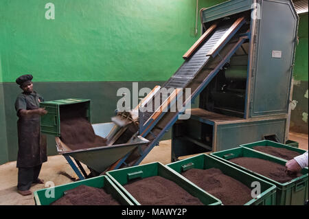 Die Hochebene von Nuwara Eliya hat einige der feinsten Teegärten in Sri Lanka Stockfoto