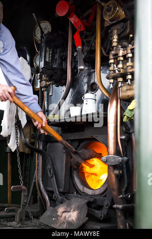 Die Wärme wird auf! In der Kabine eines SVR Dampflokomotive, der Feuerwehrmann ist in Aktion Schaufeln mehr Kohle in die Brennkammer eine konstante Kraftstoffversorgung zu gewährleisten. Stockfoto