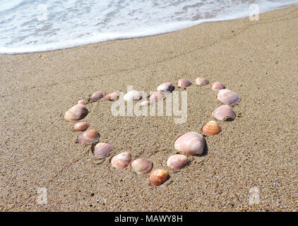 Herzen von Muscheln am Strand. Sommer Liebe oder Romanze Thema mit Sand und Muscheln. Stockfoto