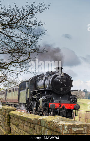 Vorderansicht der Alten, vintage SVR Dampflok43106 (LMS Ivatt Klasse 4) anfahren, puffing Rauch, durch die malerische Landschaft im Frühling reisen. Stockfoto