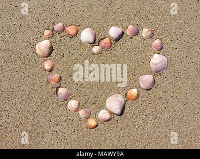 Herzen von Muscheln am Strand. Sommer Liebe oder Romanze Thema mit Sand und Muscheln. Stockfoto