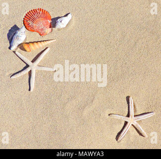 Strand Hintergrund mit Sand, Muscheln, Seesterne und Kopieren. Sommer Urlaub Szene, Sommer Hintergrund. Stockfoto