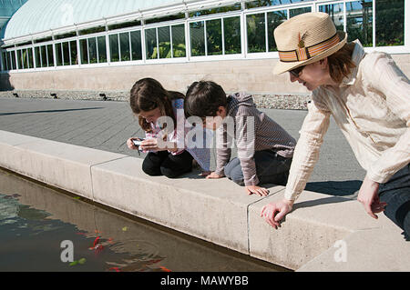 Eine Familie mit Kindern im Alter von 5 und 9 Blick auf Koi Fisch im Brunnen an der Haupt Wintergarten an der New York Botanical Gardens. Stockfoto