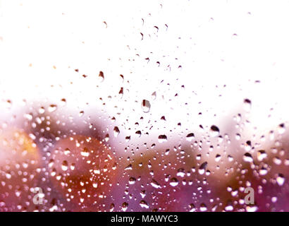 Regentropfen am Fenster Glas. Selektiver Fokus oder closeup Schuß von Regen fällt auf ein Fenster. Stockfoto